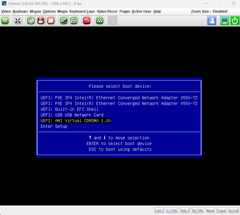 BIOS Boot Device selection