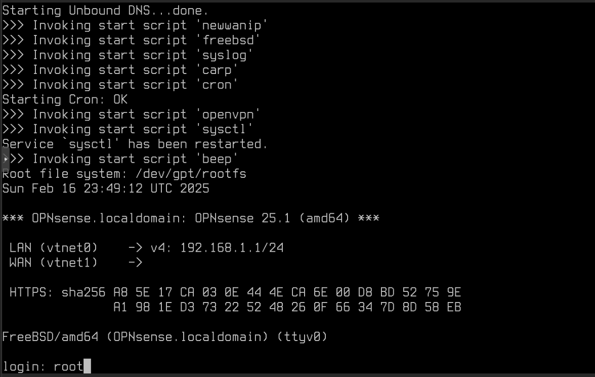 OPNsense Console: At login screen