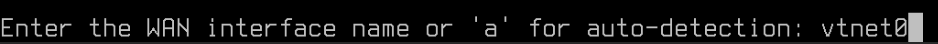 OPNsense Console: WAN interface name entry