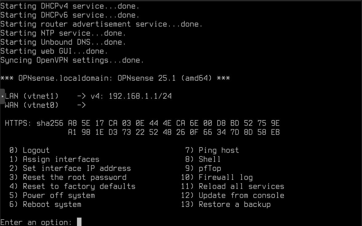 OPNsense Console: Main Screen