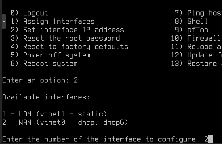 OPNsense Console: WAN Interface Selection