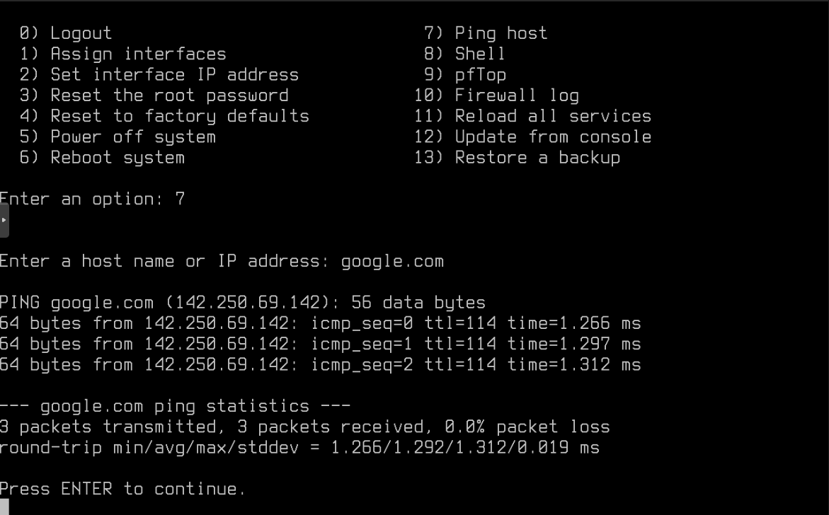 OPNsense Console: Ping successful